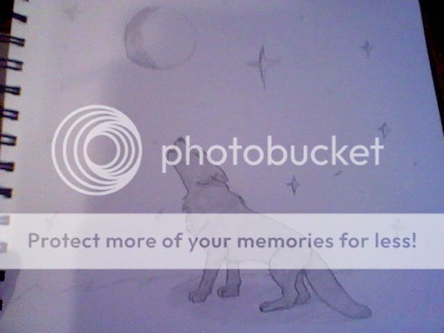 Picture007.jpg