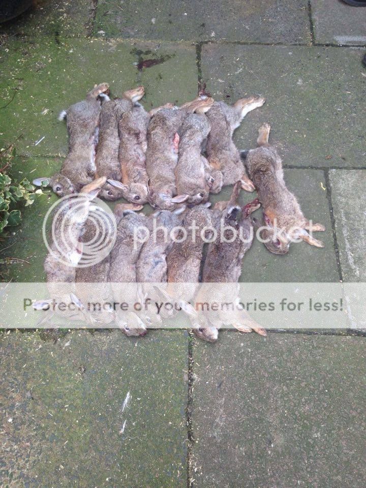 12527777_10207927517202481_2138828680_n_