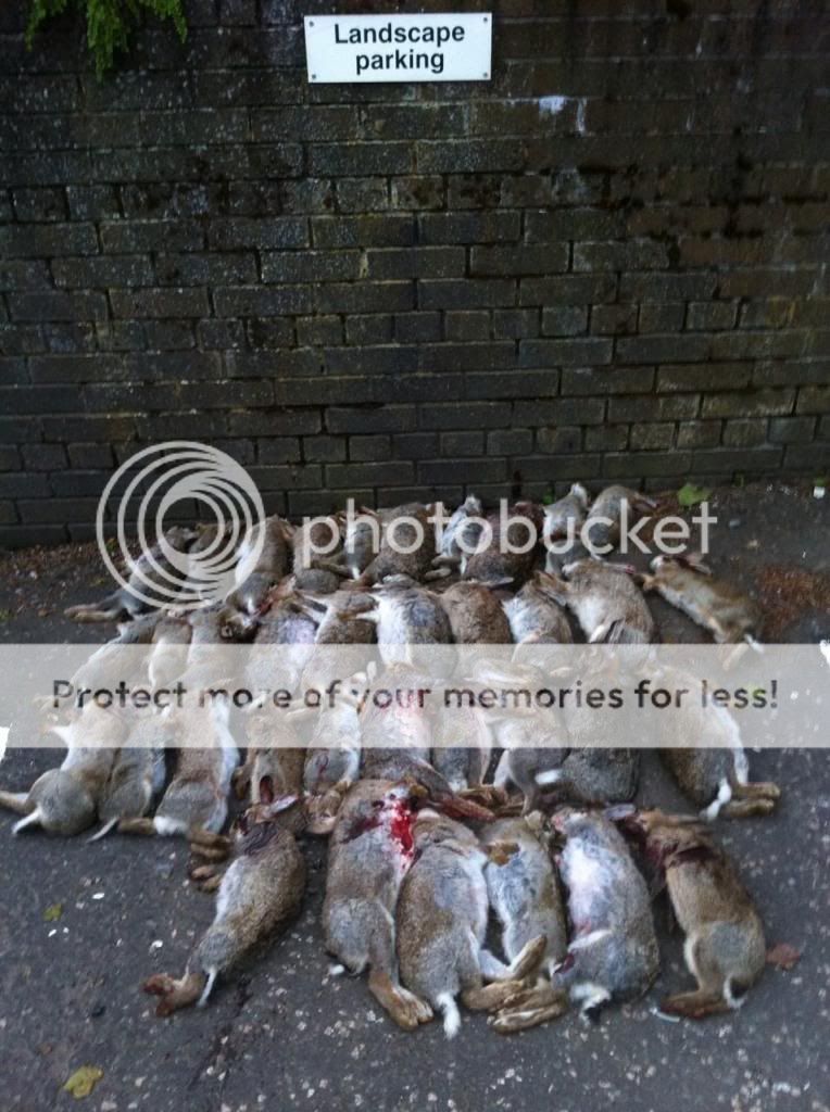 Share2013-06-18-278cd79794852b2b138a277c