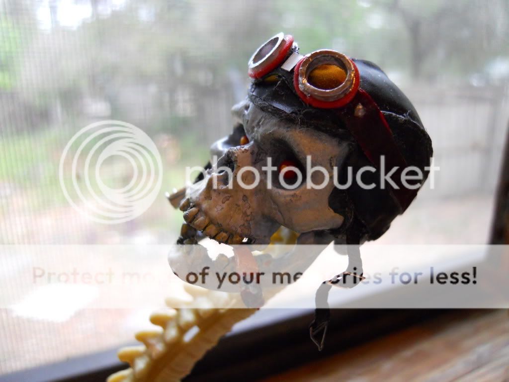 Posted Image