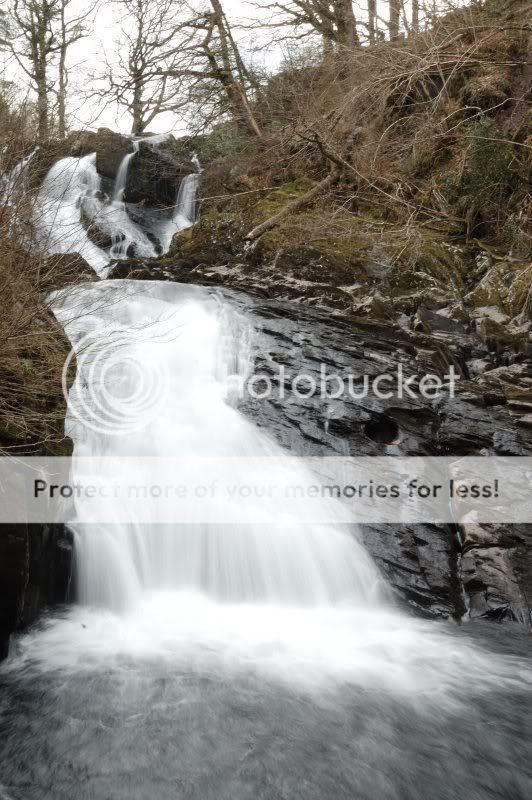 DSC_0786.jpg