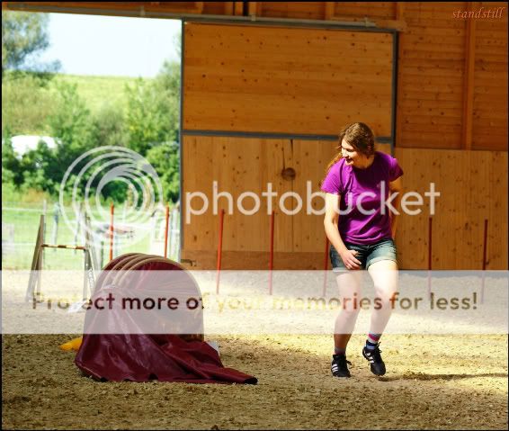 agility2-1.jpg